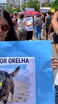 Caso Orelha: morte de cão gera onda de protestos pelo Brasil e mobiliza Vitória.