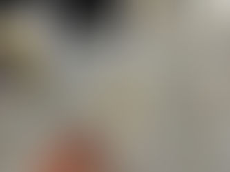 Do feed para a prisão: como o Instagram virou vitrine para tráfico de cogumelos no ES.