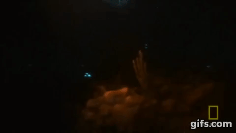 the courtshipdisplay of bioluminescent ostracods