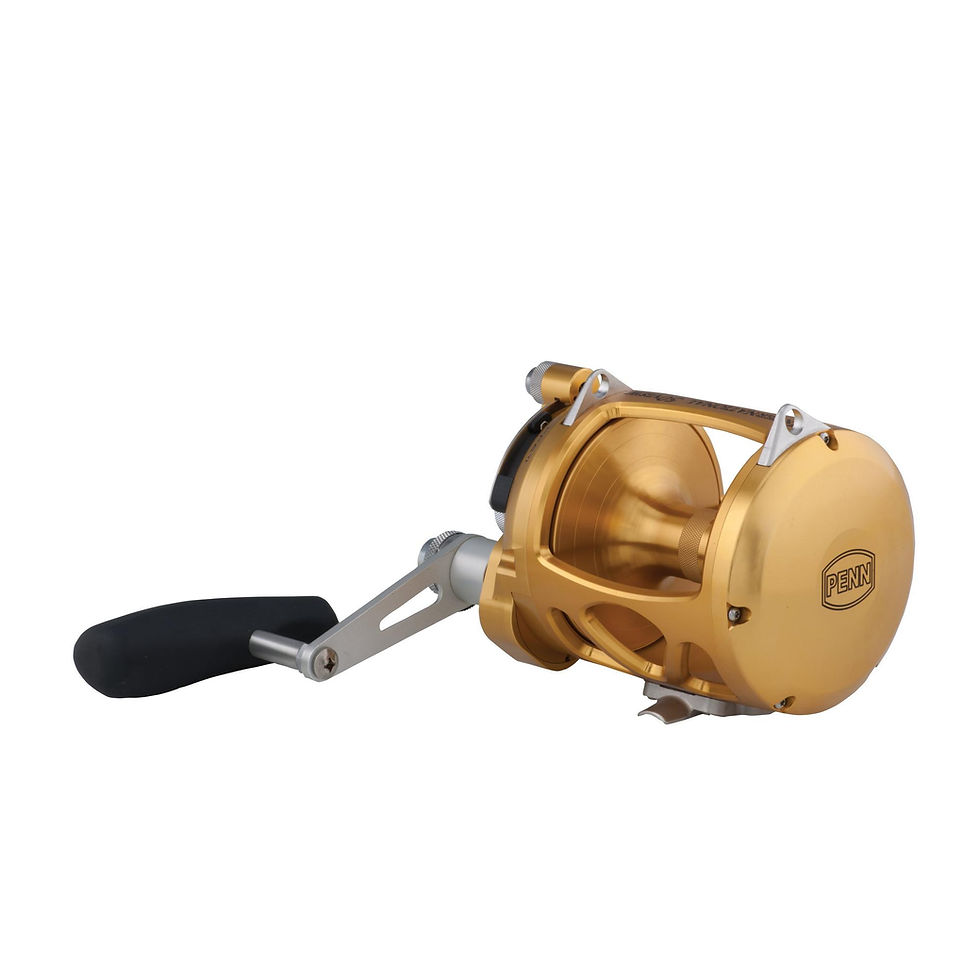PENN　インターナショナル50 INTERNATIONAL 50 [40051] PENN International® VISX Extreme Conventional Reel | PENN