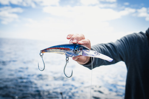 Nomad DTX Minnow HD 220 - 9