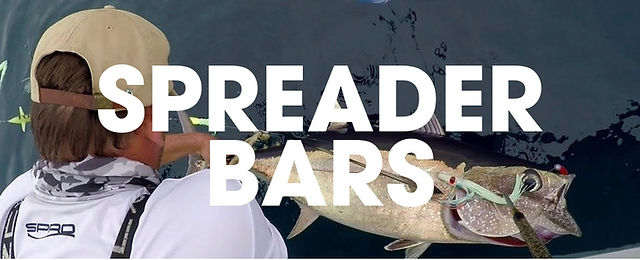 Spreader Bars_edited.jpg