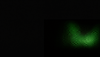 hf_20260918_155519_3367f43b-8668-4d6c-bd3c-2f5a7b92b6fc.png
