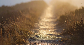 When Difficult Conversations Lose Their Way