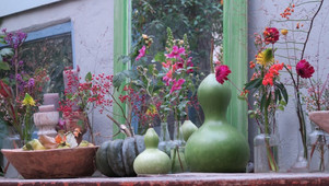 image00028.jpeg