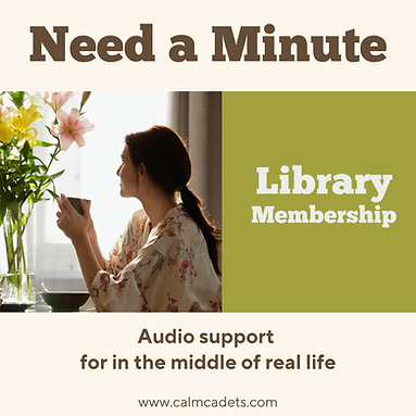 The Need a Minute Library is a collection of short audios designed to support you in the middle of real life. Nervous system support made easy.
