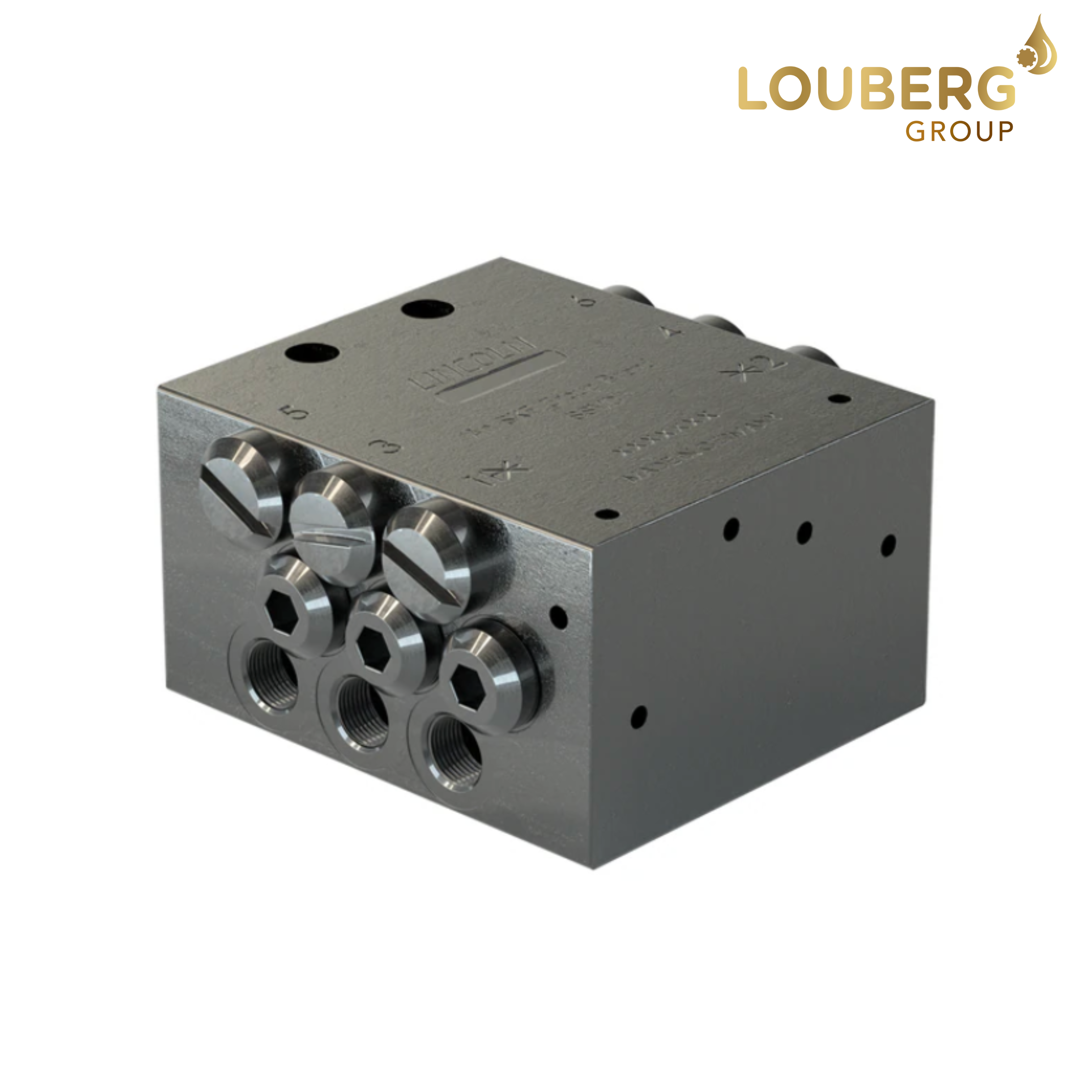 Lincoln SSVD6 Divider LL/649-29485-1 – 6-Outlet Progressive Metering Block