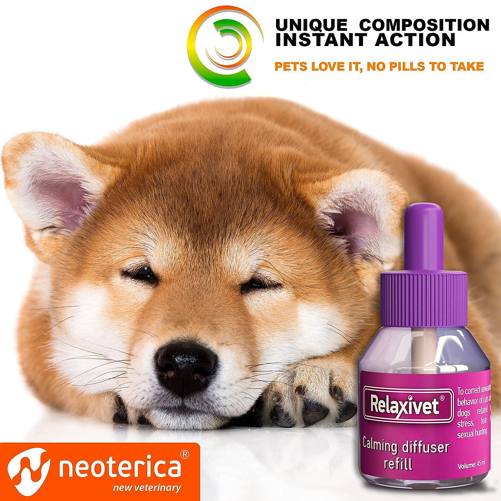 Thumbnail: Calming Diffuser Kit for Dogs Puppy Pet Separation Anxiety Relief Calm Pheromone