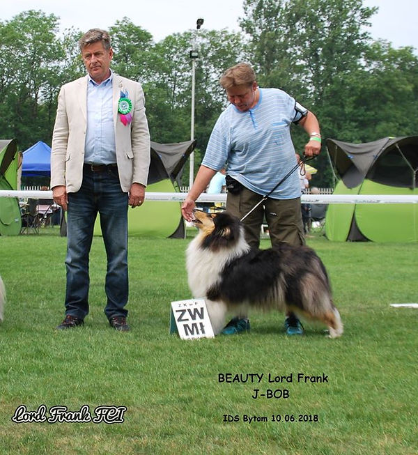 35123820_1972388139499008_64983453348575