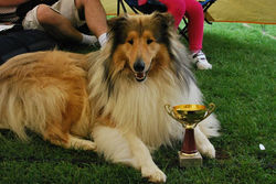 FRANK z pucharem dla Zwycięzcy Rasy