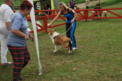 CAC Zakopane 08.2012