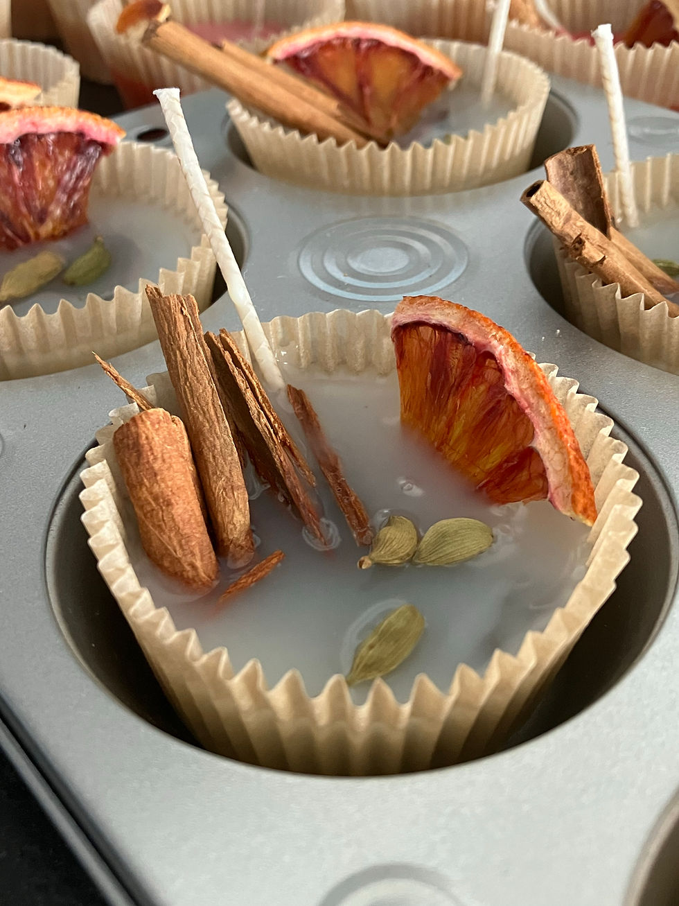 Fire Starters for your firepit or camping trip