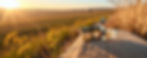 Screenshot 2025-09-29 142822.jpg
