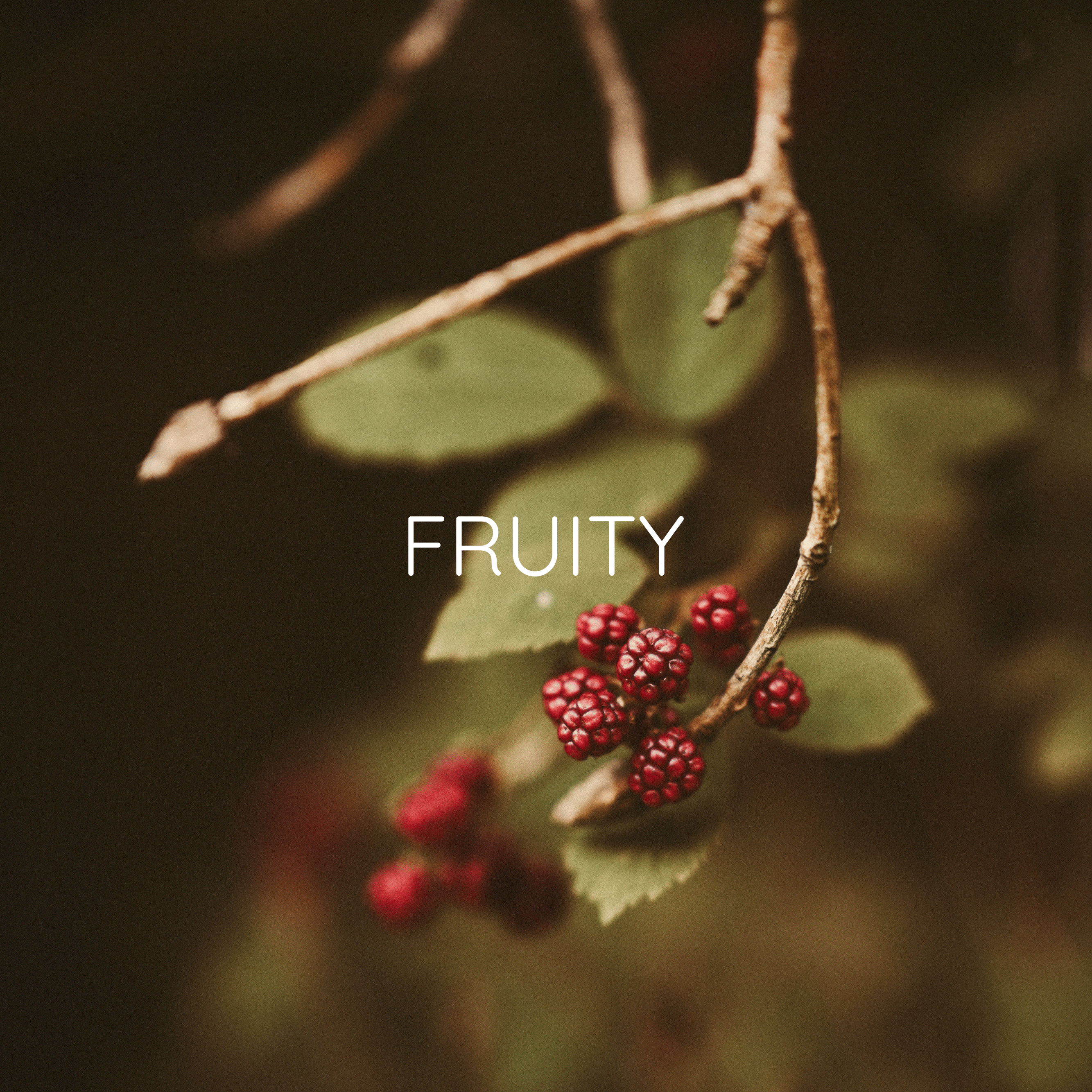 Berry Picking Wax Melt - Cedar, Sage & Blackberries