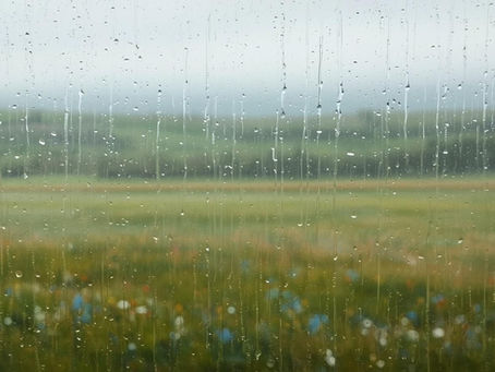 Petrichor: Why Rain Smells the Way It Does
