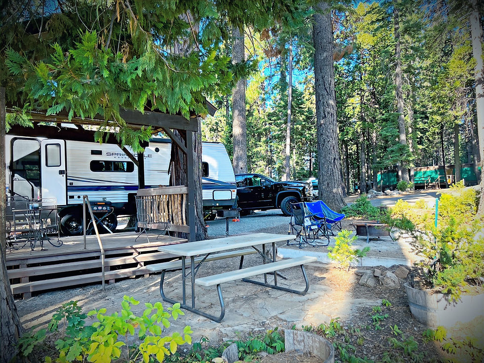 RV campsite in a pine forest with a white trailer, black truck, picnic table, chairs, and fire pit on a sunny day