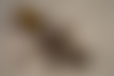 Six Things To Do Before New Tax Season