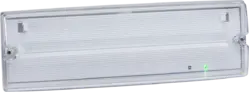 230V IP65 4W LED Emergency Self Test Bulkhead