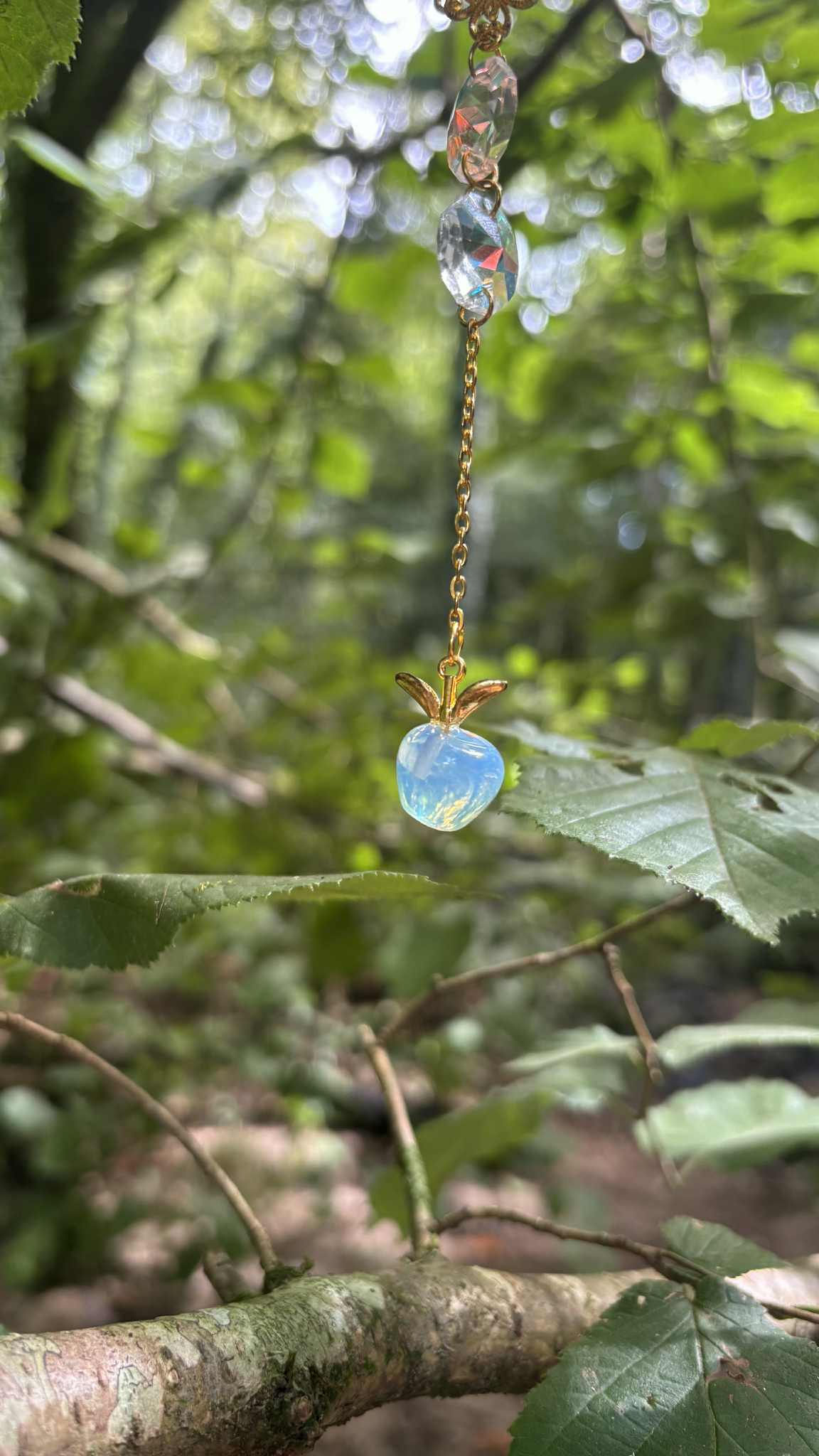 Petit sun pomme de vie