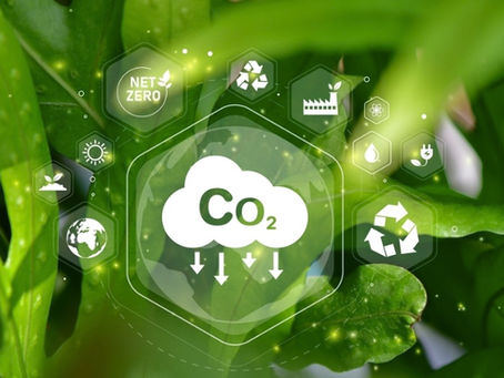 MERCADO DE CRÉDITO DE CARBONO É APROVADO PELA CÂMARA DOS DEPUTADOS E VOLTA PARA ANÁLISE DO SENADO.