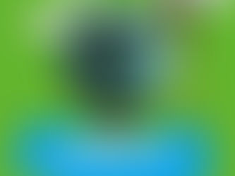 IMA/SC PUBLICA NORMA COM AS DIRETRIZES GERAIS PARA O LICENCIAMENTO AMBIENTAL NO ESTADO - IN 00/2022.