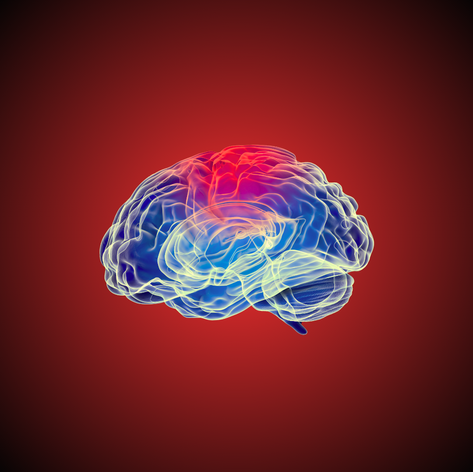 What happens to our brain as we get older?