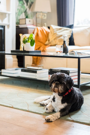 Alexias Interior | Custom Design