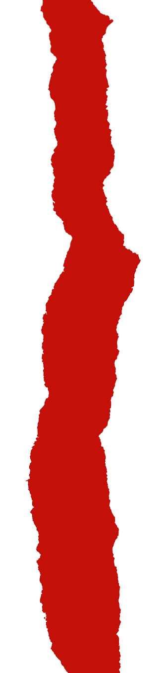 Diseño sin título (1)_edited.png