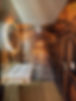 Wallpaper hanging at the Three Chimneys Grand designs project.jpg