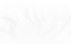 BACKGROUNDS & ASSETS (4).png