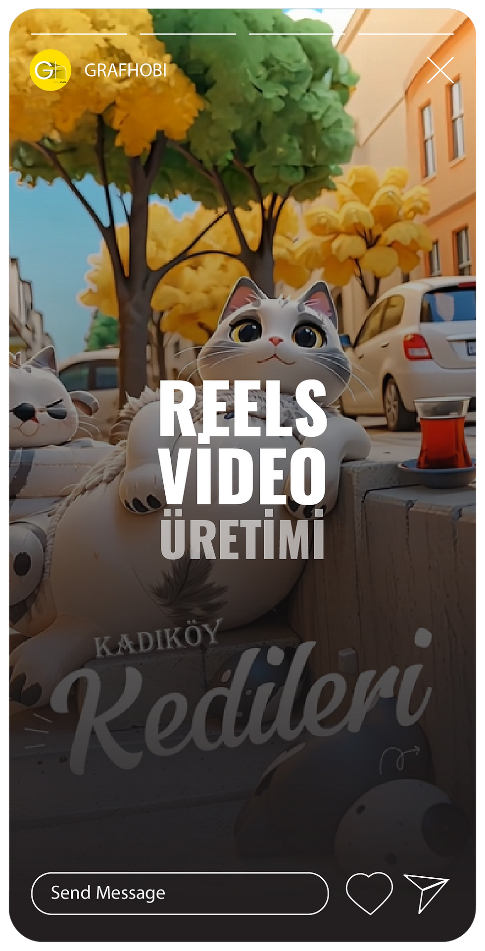 Reels Video