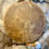Thumbnail: 14 inch buffalo hide sweat lodge shamanic drum