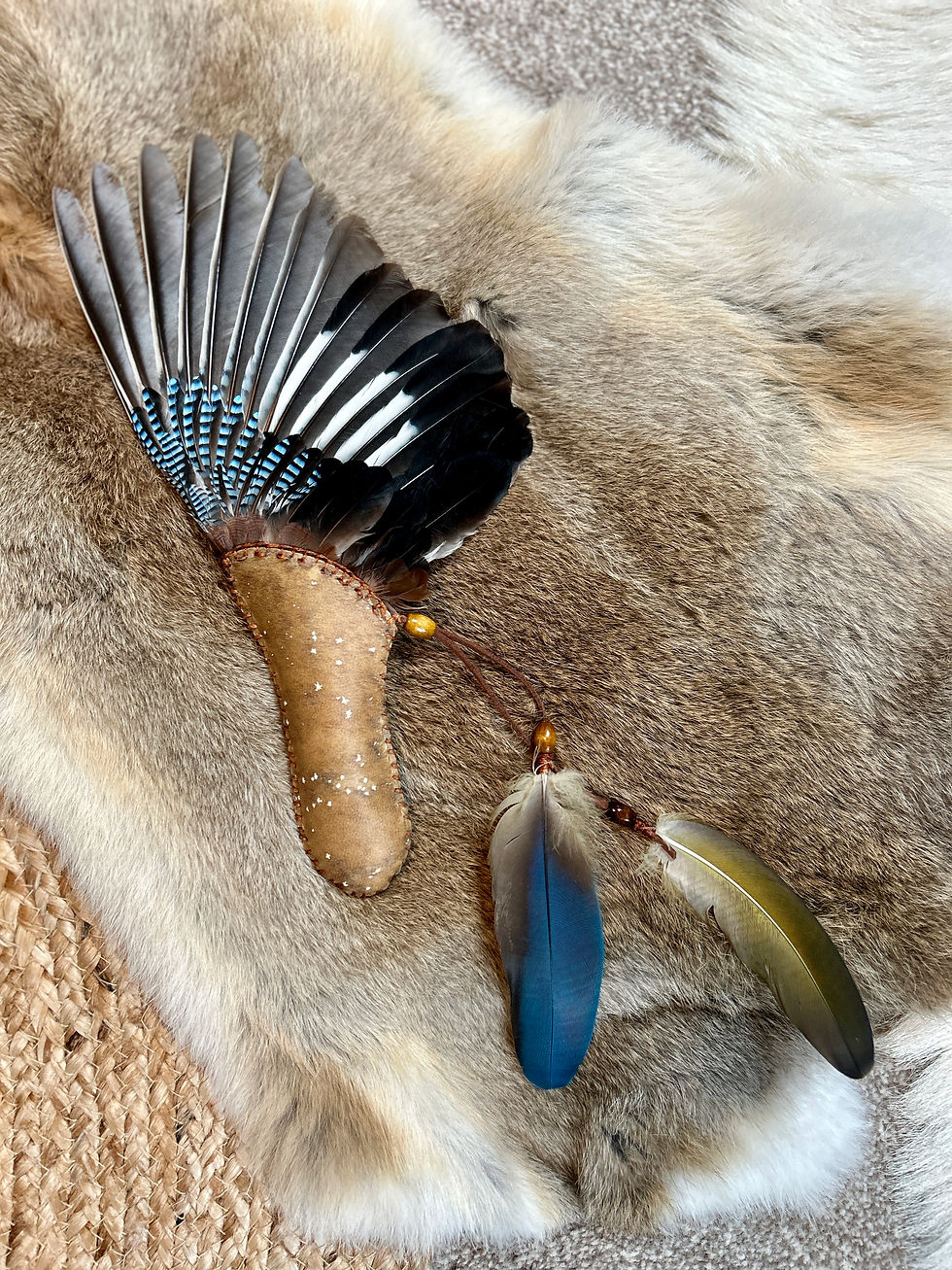 Jay wing on a horse hide handle with two macaw feathers