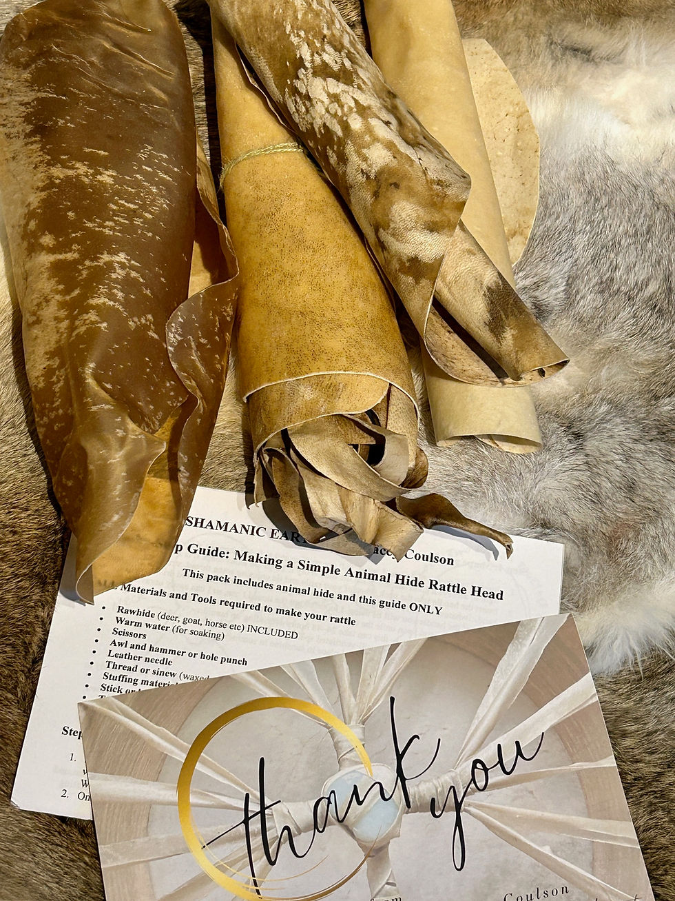 Thumbnail: shamanic rattle making kit with rawhide remnants