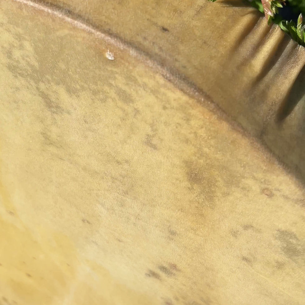 Thumbnail: 20 x 16 goat hide shamanic drum for sale