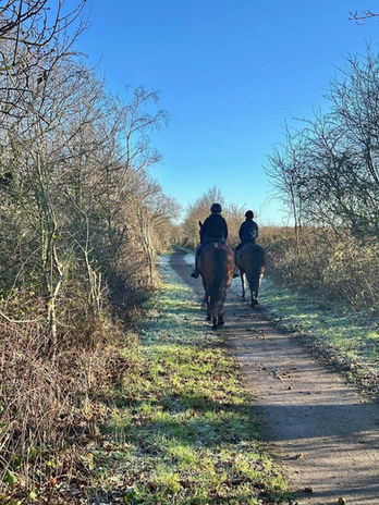 Two horses and riders enjoy a ride along a local bridleway at Carr Farm Livery