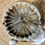 Thumbnail: 20 inch cow hide shamanic drum