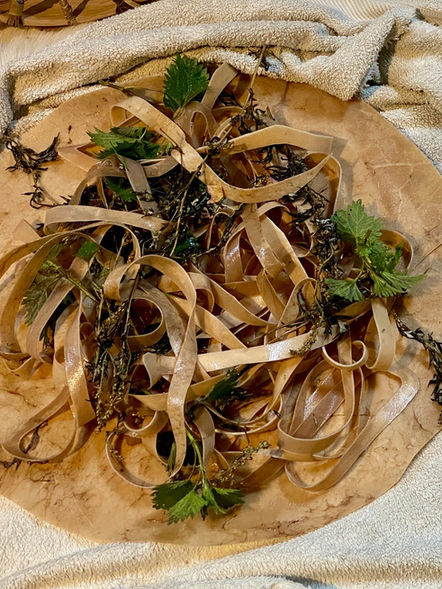 Plant allies during a shamanic drum birthing