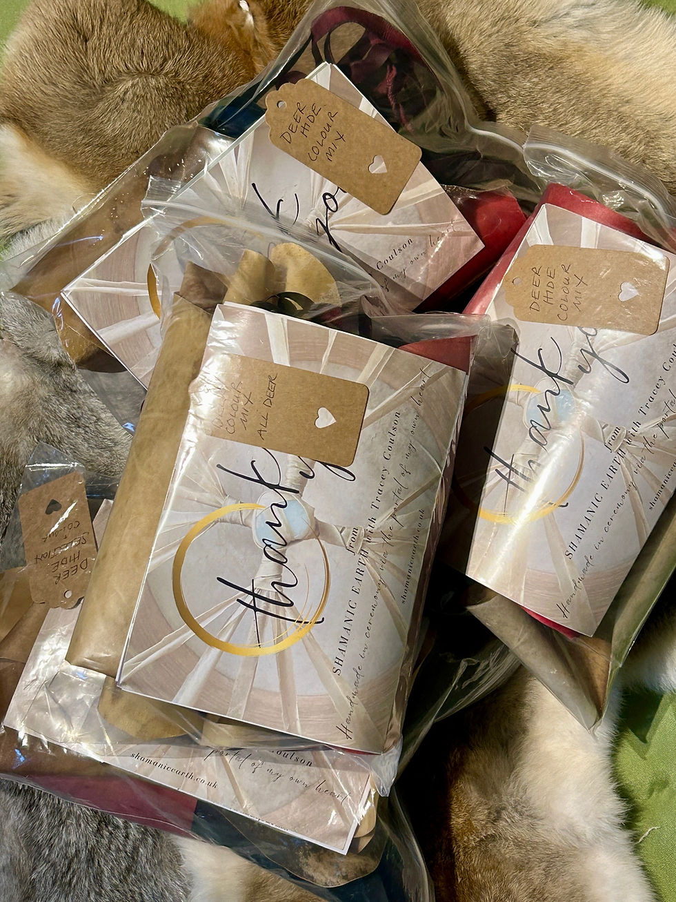 shamanic rattle making kit with rawhide remnants