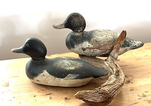 2decoys.jpg