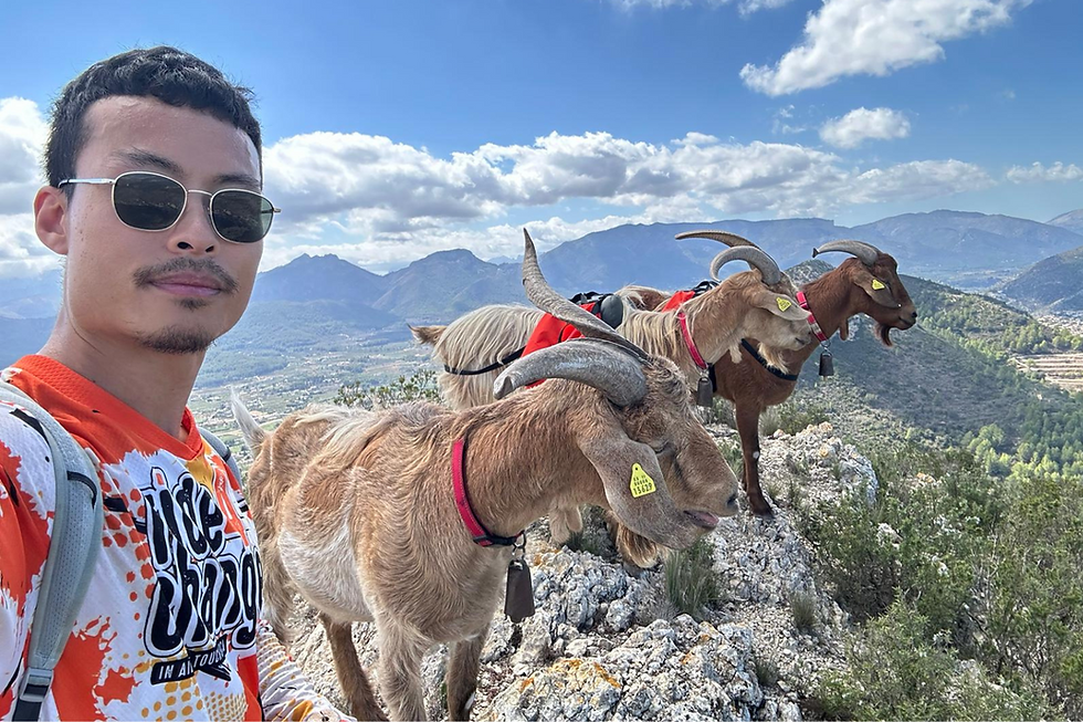 Go wild, walking in the Spain mountains with Euro Goat Trekkers