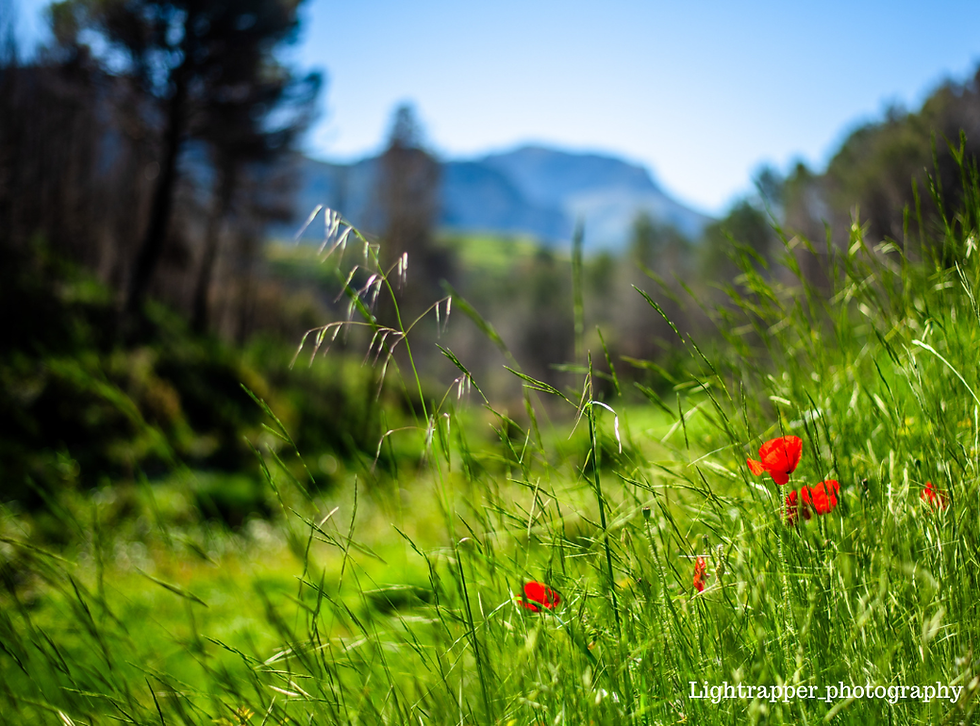 Terraced hillsides, forest paths, and open valleys provide space — not only physically, but mentally.