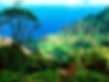 Hawaii_1014_edited.jpg