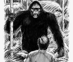 An illustration based on Percy Window's encounter (unknown artist)