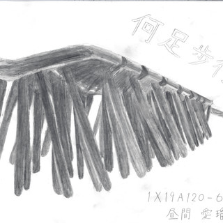 何足歩行?
