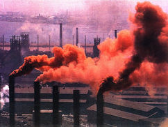 A desumanização do macaco