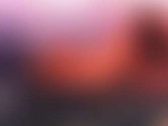 A desumanização do macaco