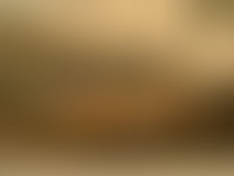 O escravismo serviu ao capitalismo