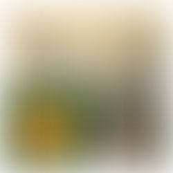 Privilégios, desigualdades e as catástrofes ditas naturais