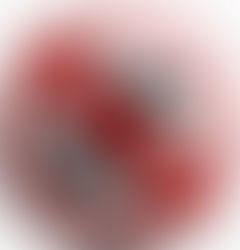 Não toleramos o nazismo.